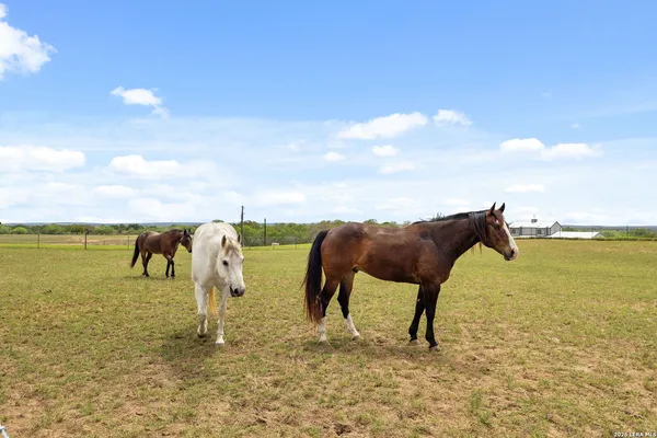 $1,185,000 | 2431 Farm To Market Road 467, Seguin, TX 78155