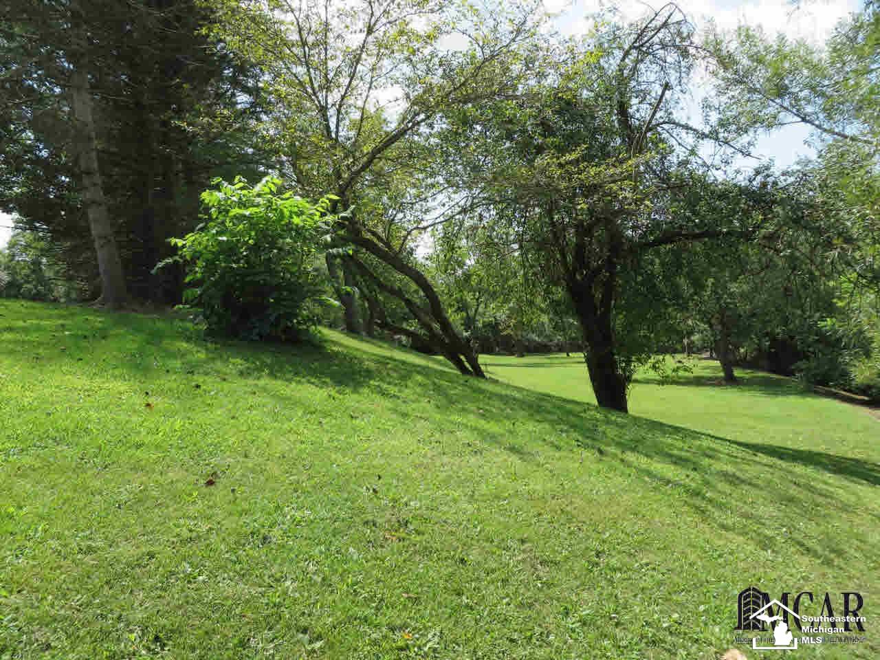 13382 Stowell Road Dundee, MI 48131 - Photo 29 of 32 21358911-28.JPG