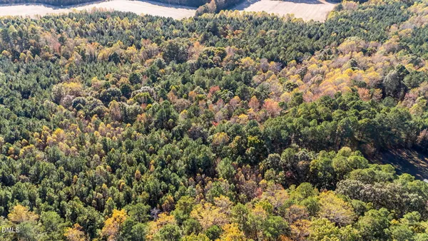 a view of a bunch of trees
