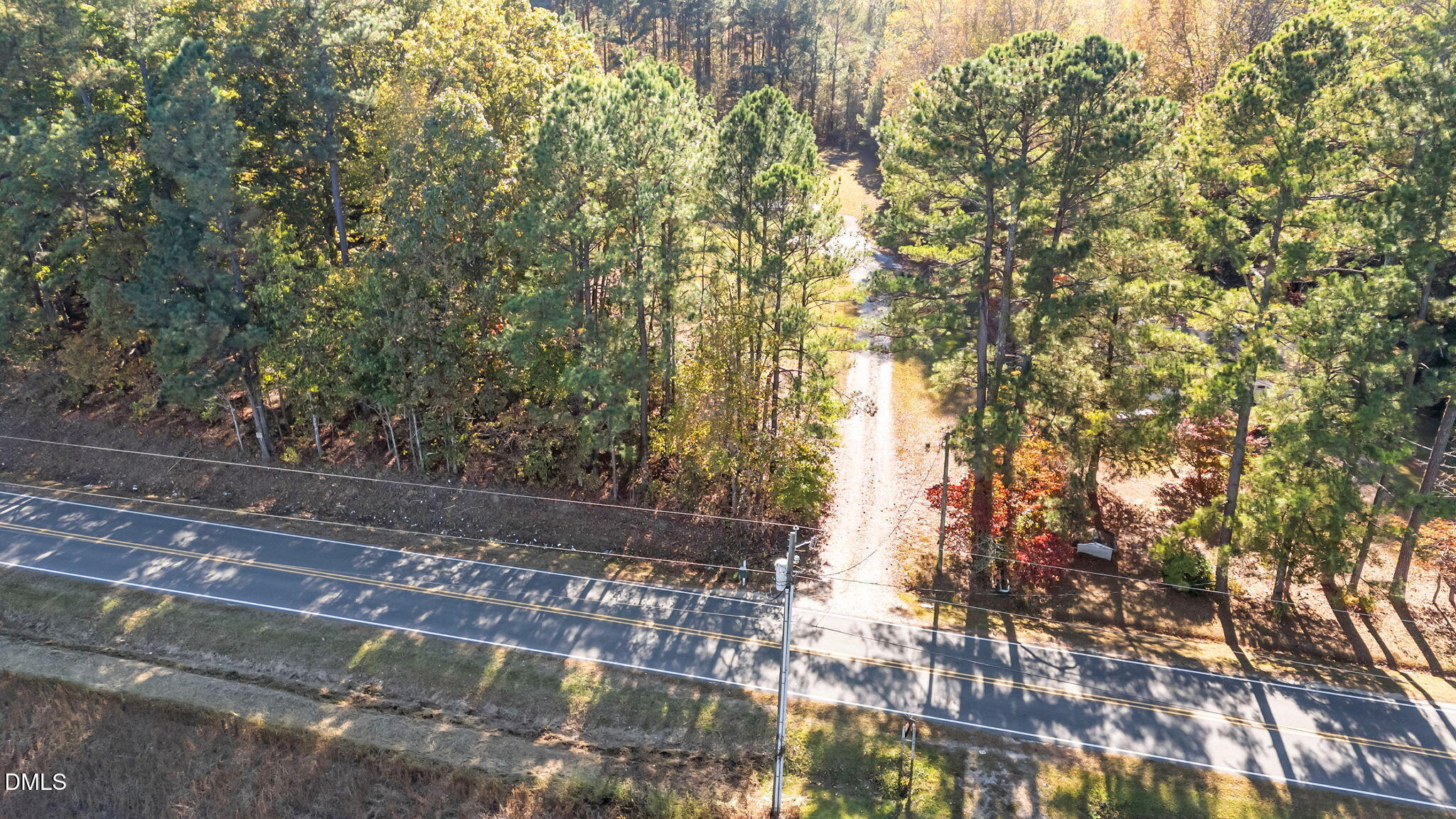 Lot 2 Martin Ln Spring Spring Hope, NC 27882 - Photo 11 of 12 a view of a yard with plants and trees