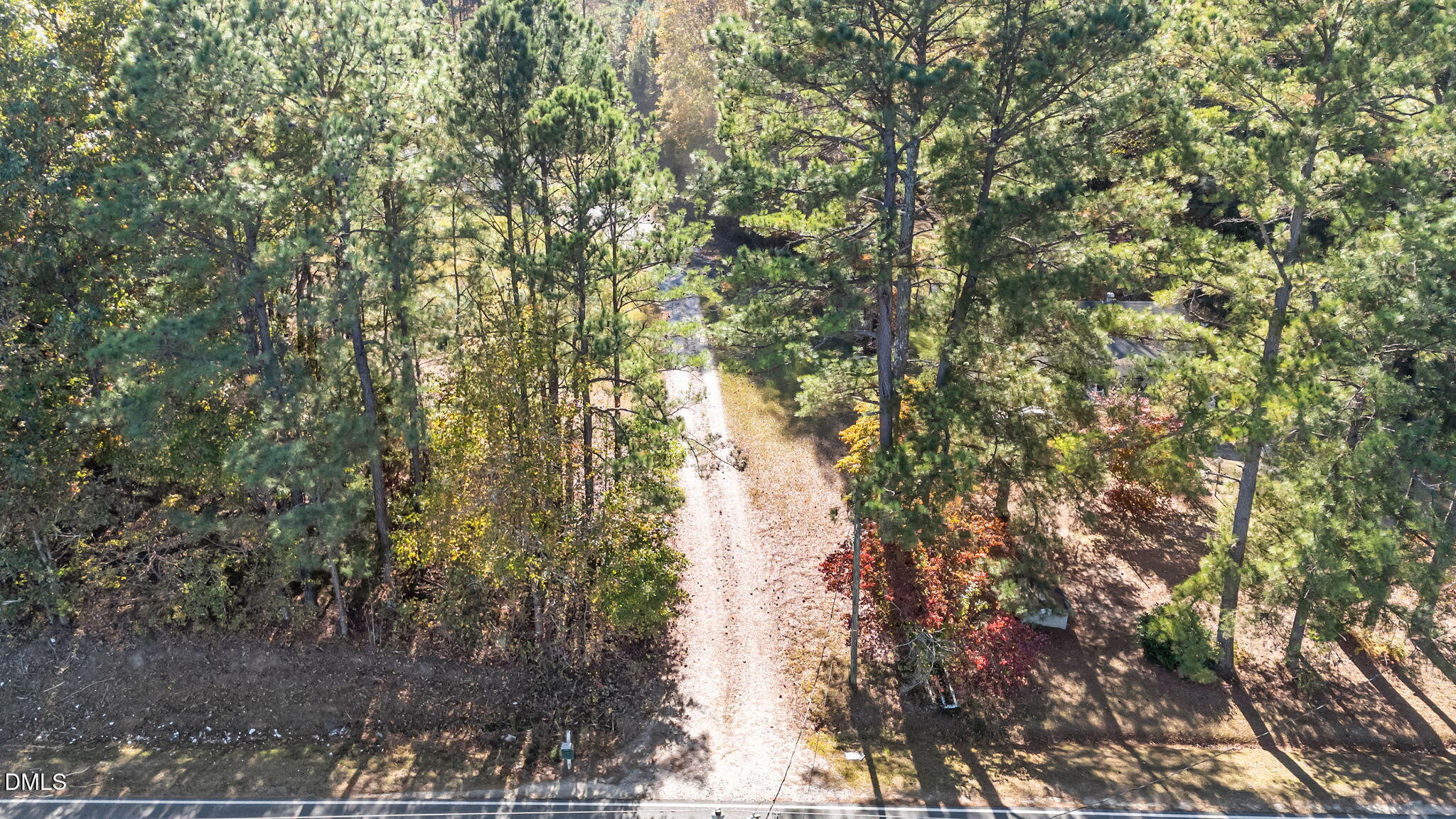 Lot 2 Martin Ln Spring Spring Hope, NC 27882 - Photo 12 of 12 a view of forest