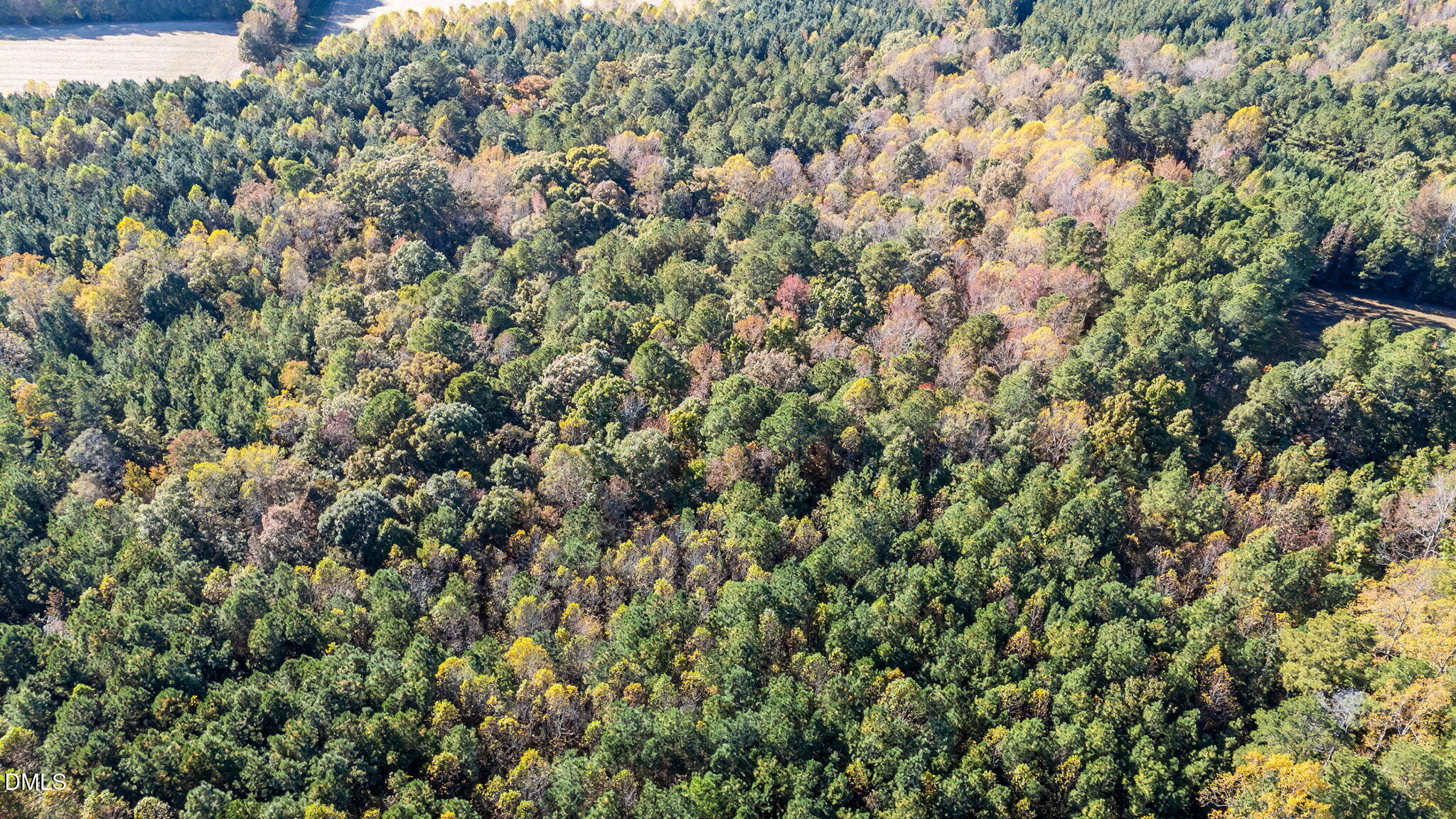 Lot 2 Martin Ln Spring Spring Hope, NC 27882 - Photo 3 of 12 a view of a yard