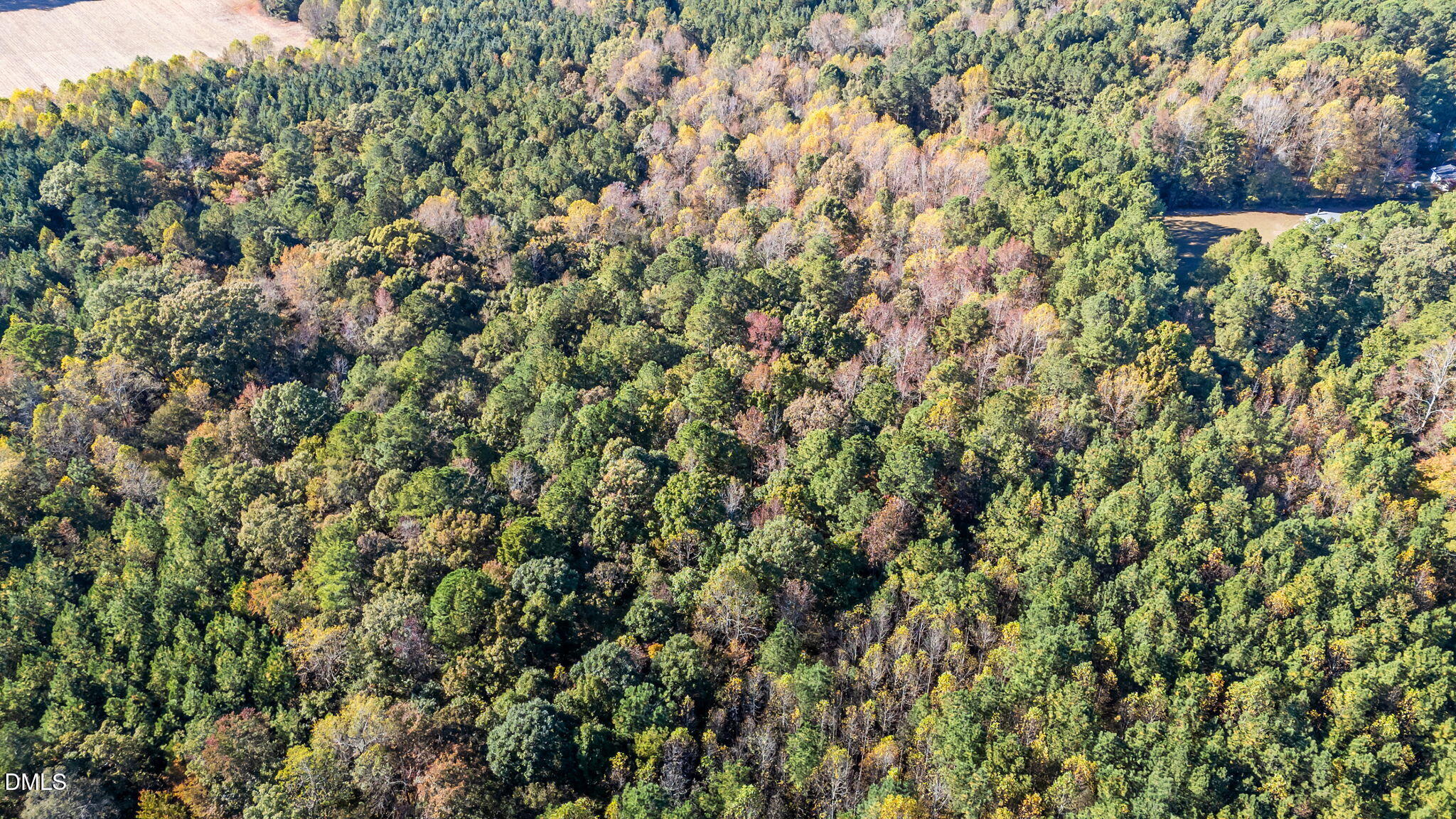 Lot 2 Martin Ln Spring Spring Hope, NC 27882 - Photo 4 of 12 a view of a yard