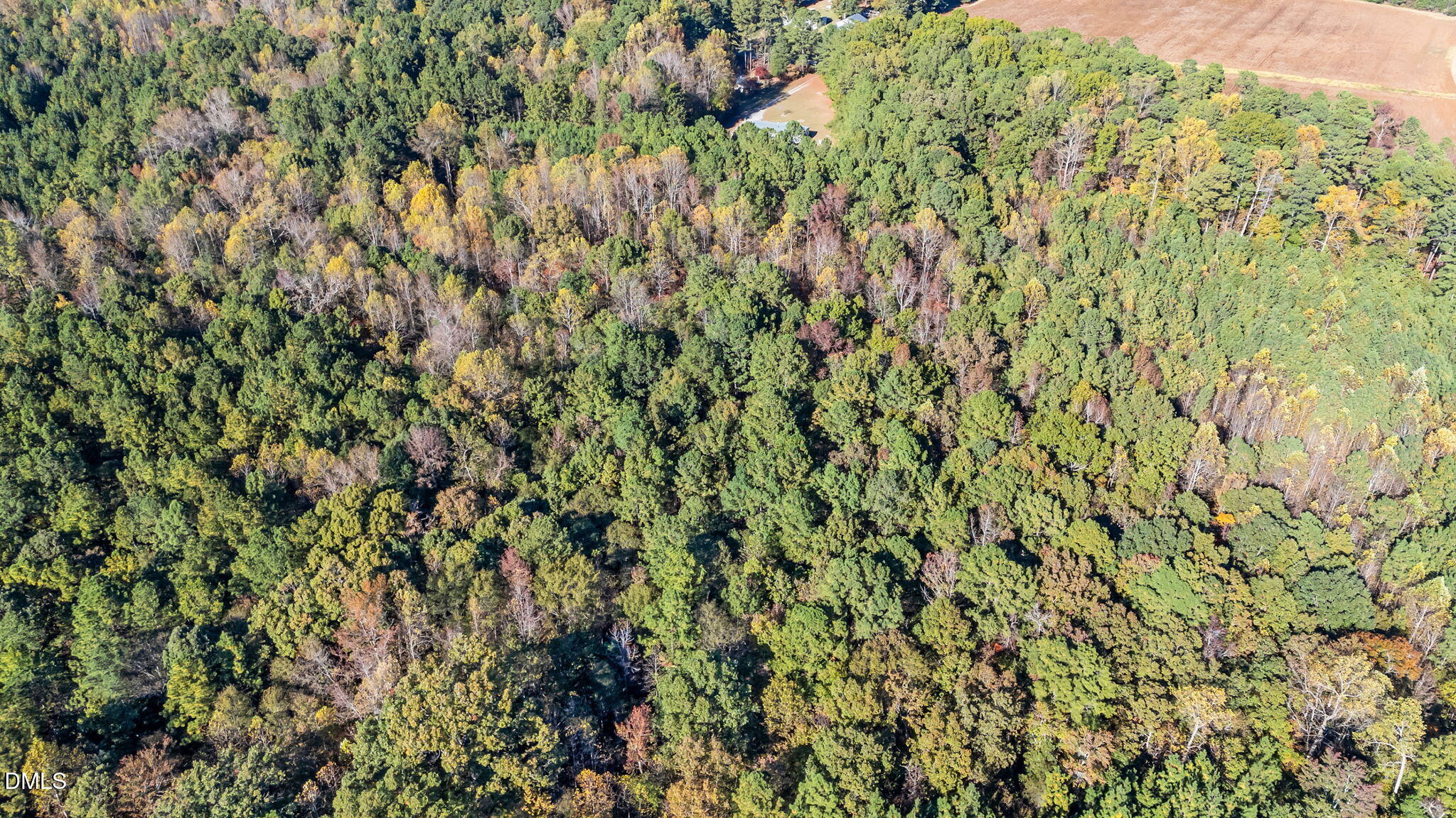 Lot 2 Martin Ln Spring Spring Hope, NC 27882 - Photo 5 of 12 a view of a lush green field