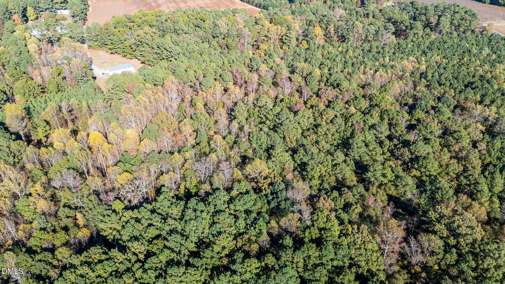 Lot 2 Martin Ln Spring Spring Hope, NC 27882 - Photo 6 of 12 a close up of a plant