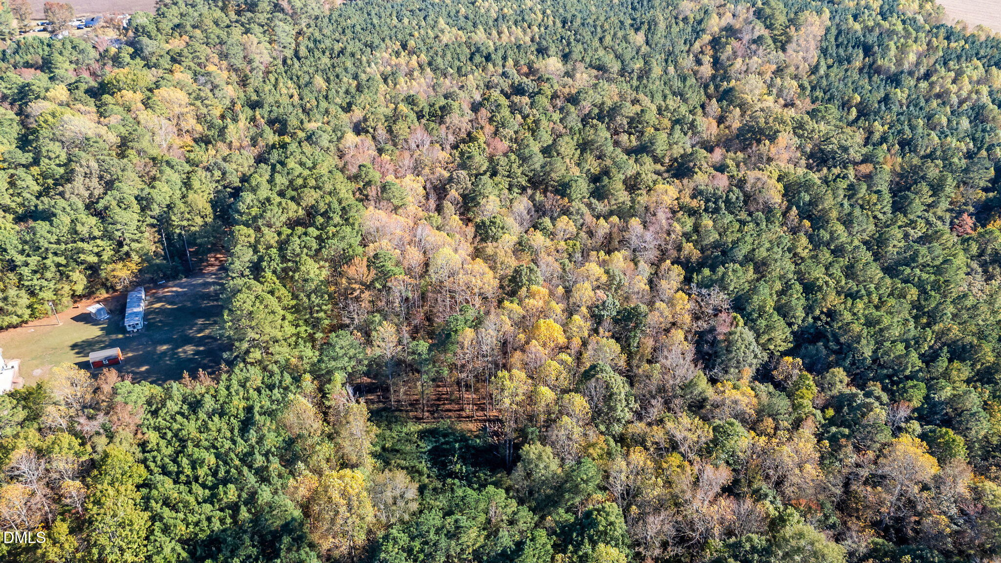Lot 2 Martin Ln Spring Spring Hope, NC 27882 - Photo 8 of 12 a view of a house with a lush green forest