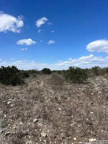 a view of a dry yard with wooden fence