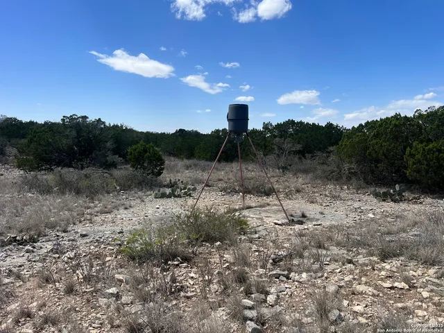 a view of a backyard with green space