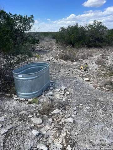 a view of a bunch of trees