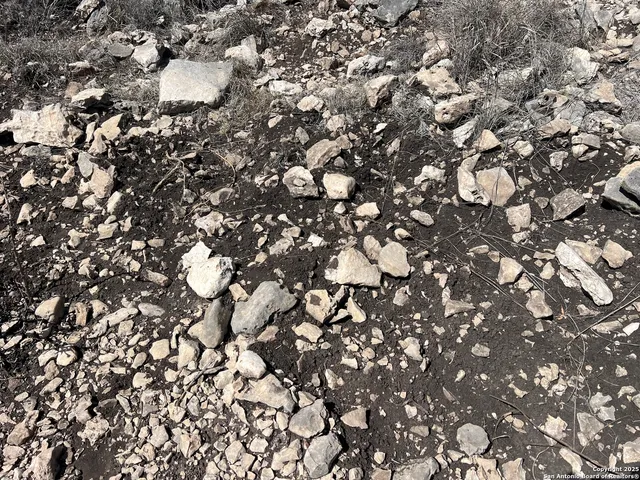 a view of a lake with lots of trees