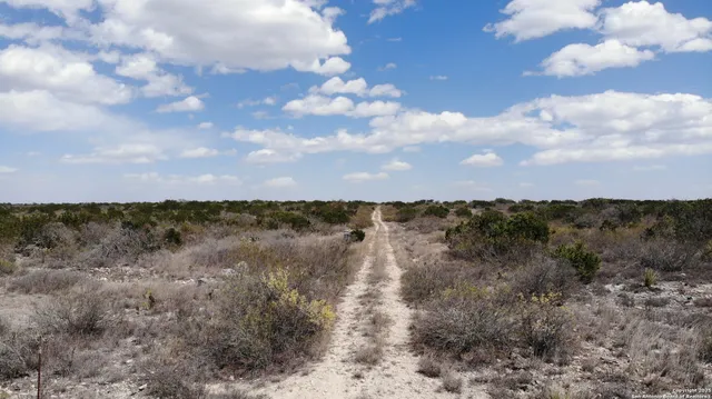 a view of a bunch of trees in a field