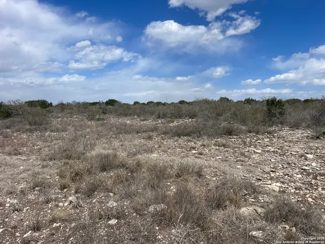 a view of a dry yard