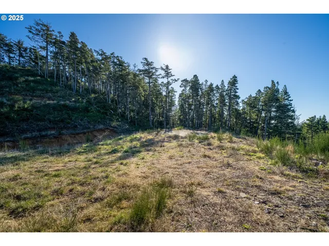 $599,000 | Highland-lot1 Drive, Tillamook, OR 97141