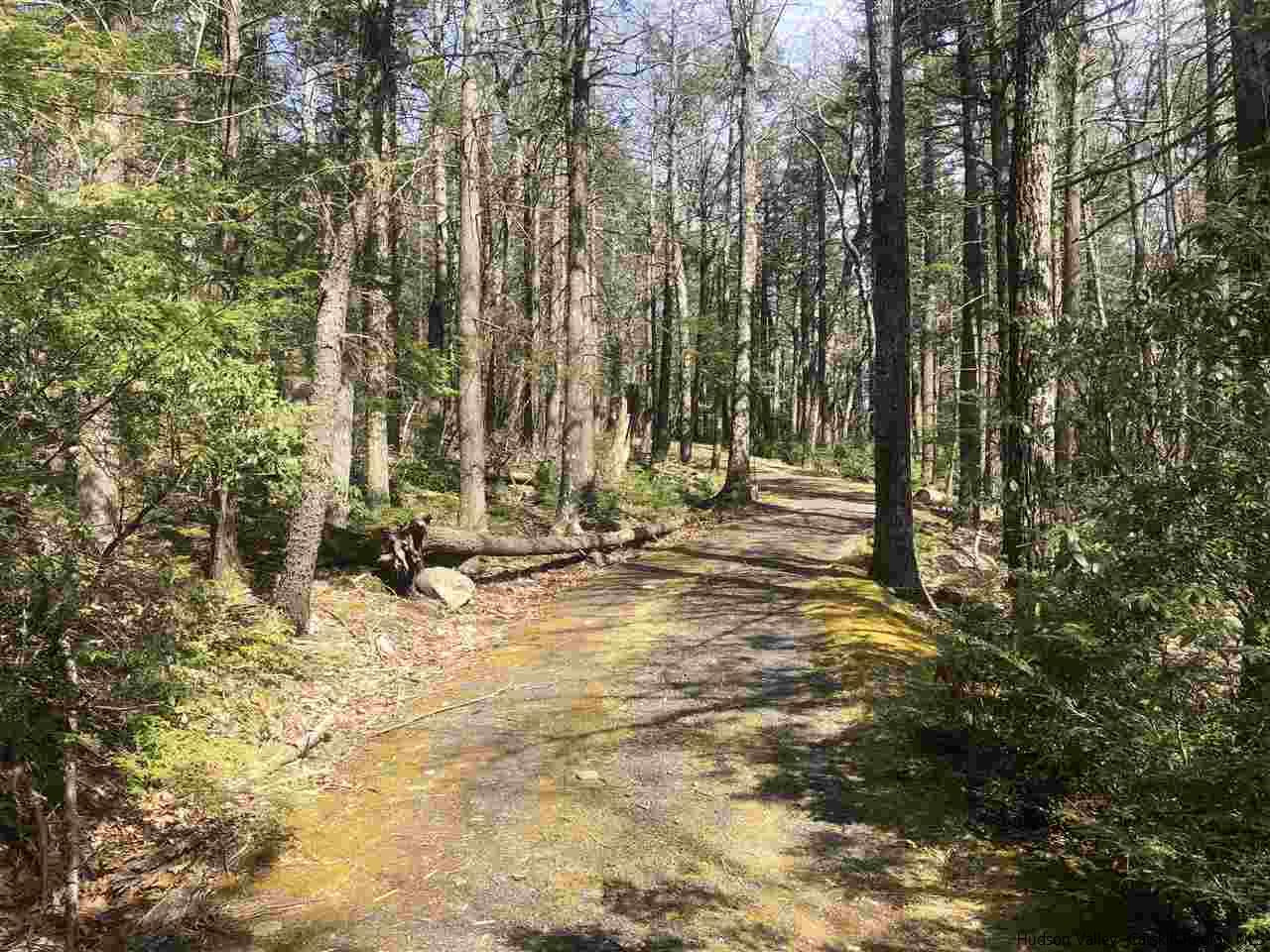 47 The High Road Mount Tremper, NY 12457 - Photo 1 of 6 Photo 1