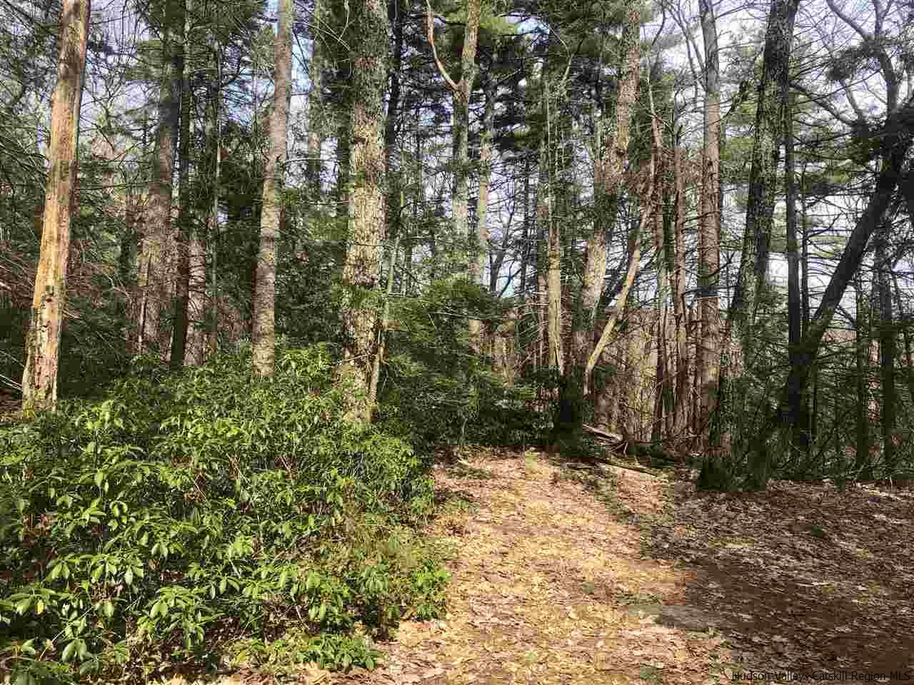 47 The High Road Mount Tremper, NY 12457 - Photo 2 of 6 Photo 2