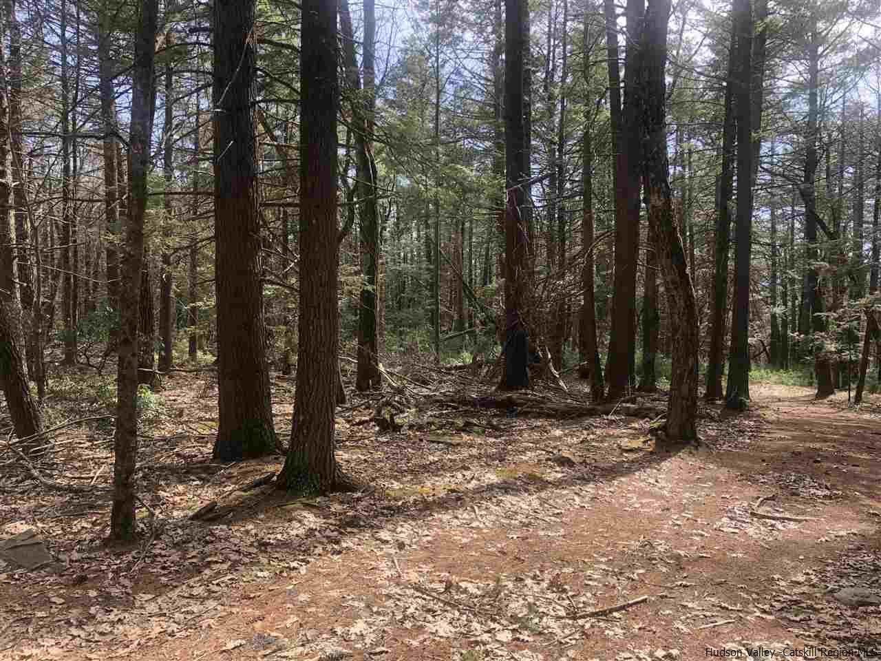 47 The High Road Mount Tremper, NY 12457 - Photo 3 of 6 Photo 3
