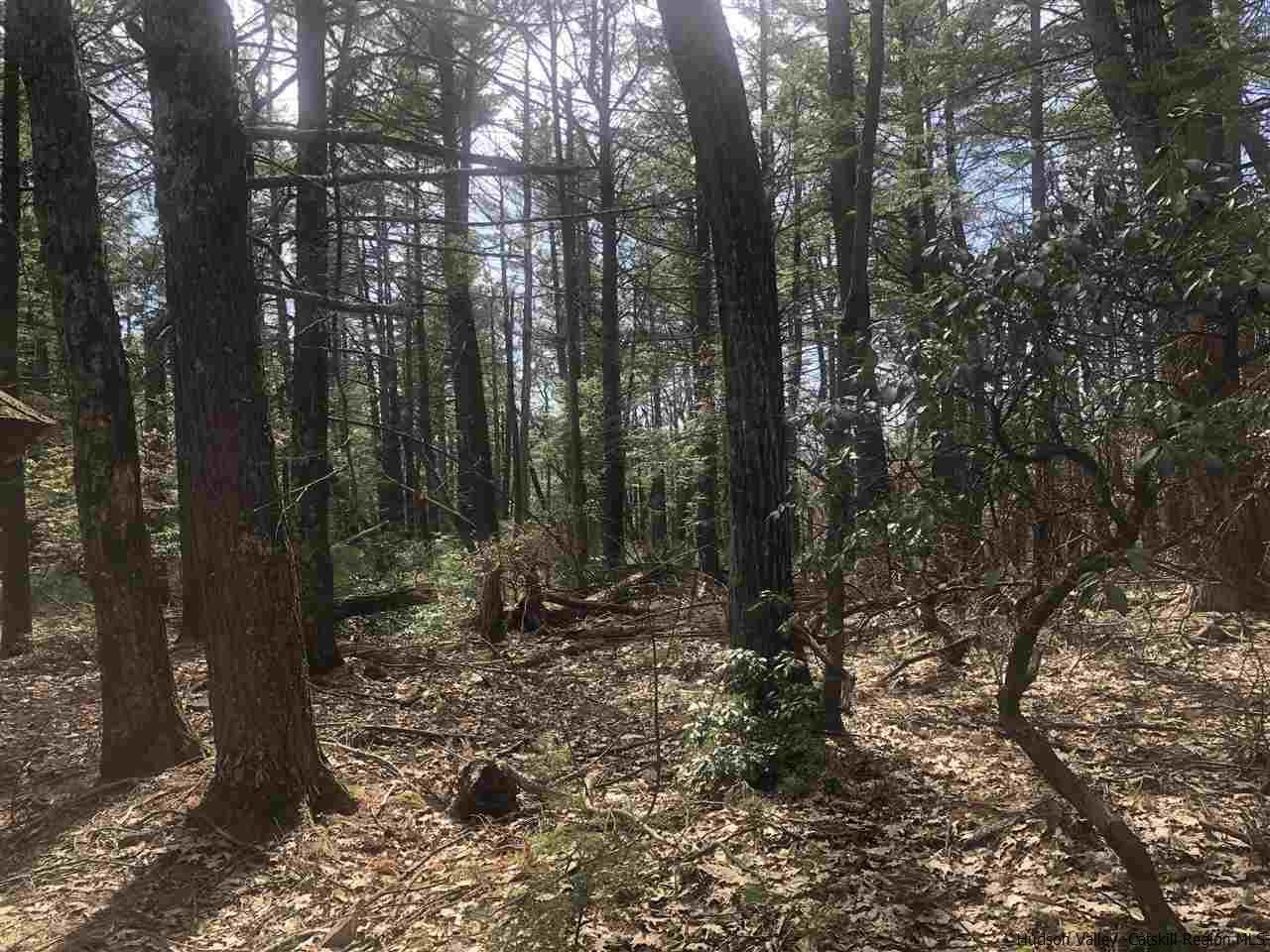47 The High Road Mount Tremper, NY 12457 - Photo 5 of 6 Photo 5