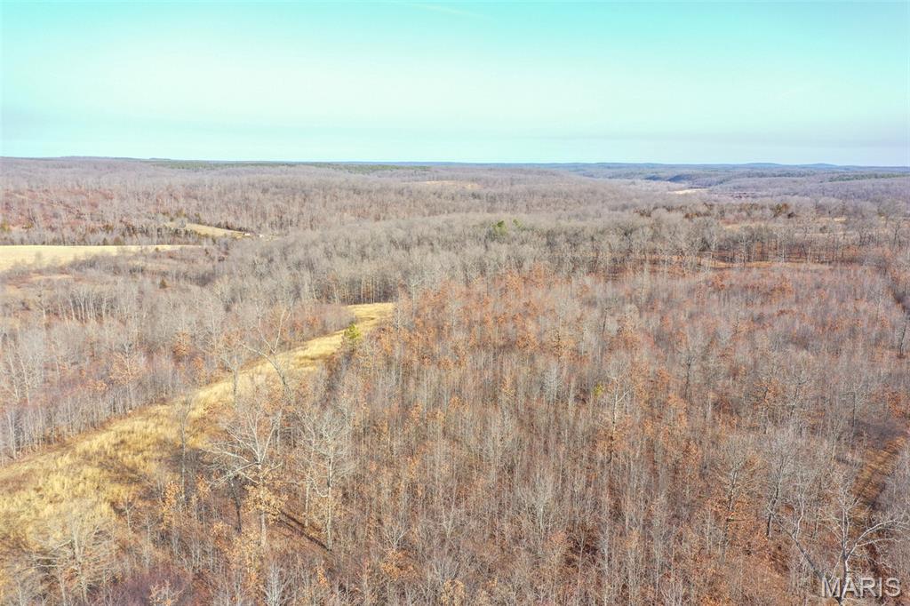 10331 Hopkins Road Potosi, MO 63664 - Photo 11 of 76