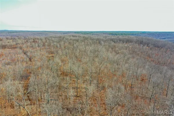 $288,000 | 10331 Hopkins Road, Potosi, MO 63664