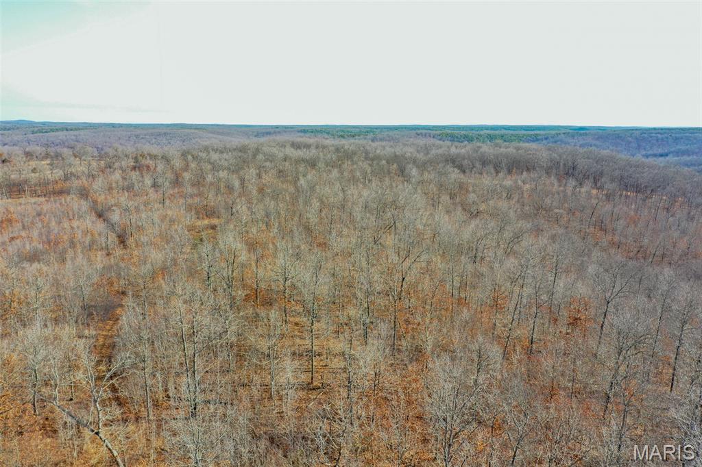 10331 Hopkins Road Potosi, MO 63664 - Photo 12 of 76