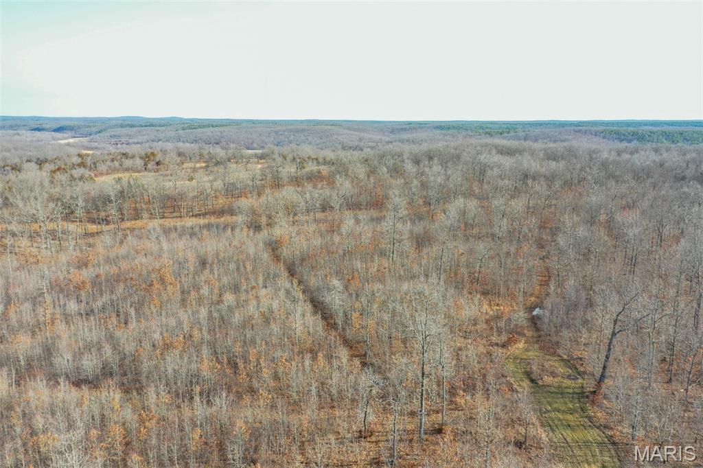 10331 Hopkins Road Potosi, MO 63664 - Photo 13 of 76