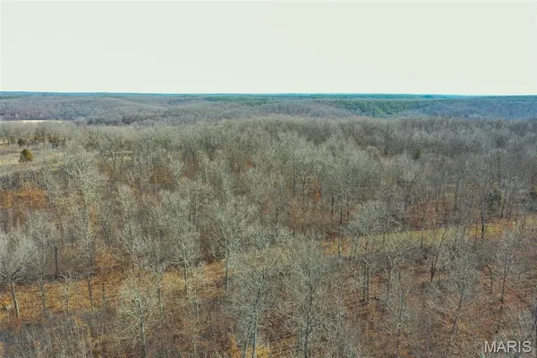 $288,000 | 10331 Hopkins Road, Potosi, MO 63664