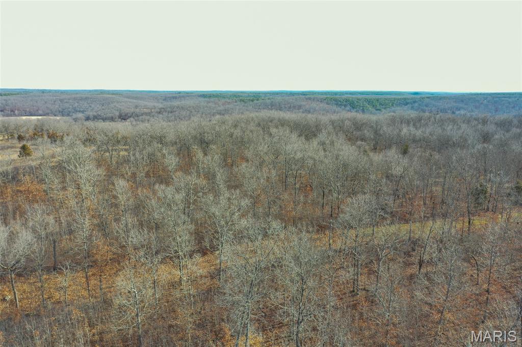 10331 Hopkins Road Potosi, MO 63664 - Photo 14 of 76