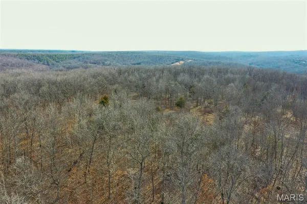 $288,000 | 10331 Hopkins Road, Potosi, MO 63664