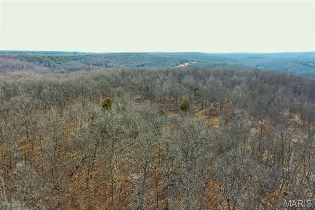 10331 Hopkins Road Potosi, MO 63664 - Photo 16 of 76