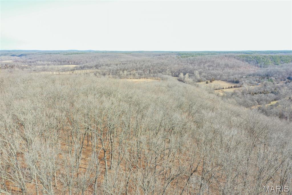 10331 Hopkins Road Potosi, MO 63664 - Photo 18 of 76