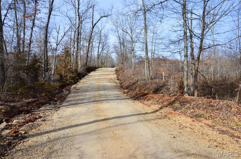 10331 Hopkins Road Potosi, MO 63664 - Photo 19 of 76