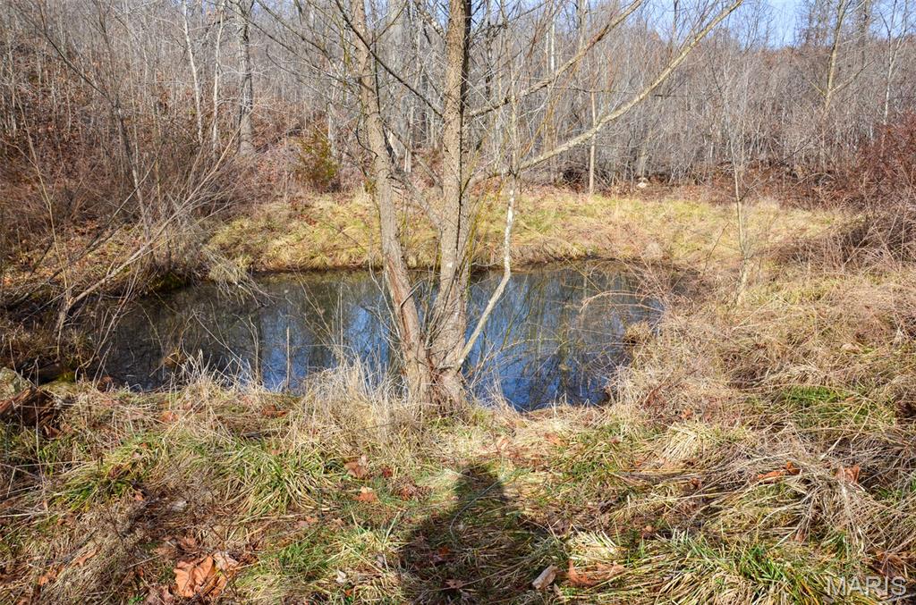 10331 Hopkins Road Potosi, MO 63664 - Photo 20 of 76