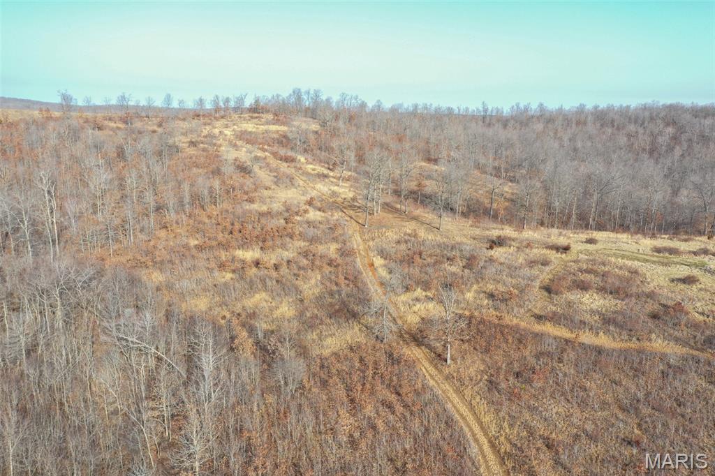 10331 Hopkins Road Potosi, MO 63664 - Photo 2 of 76