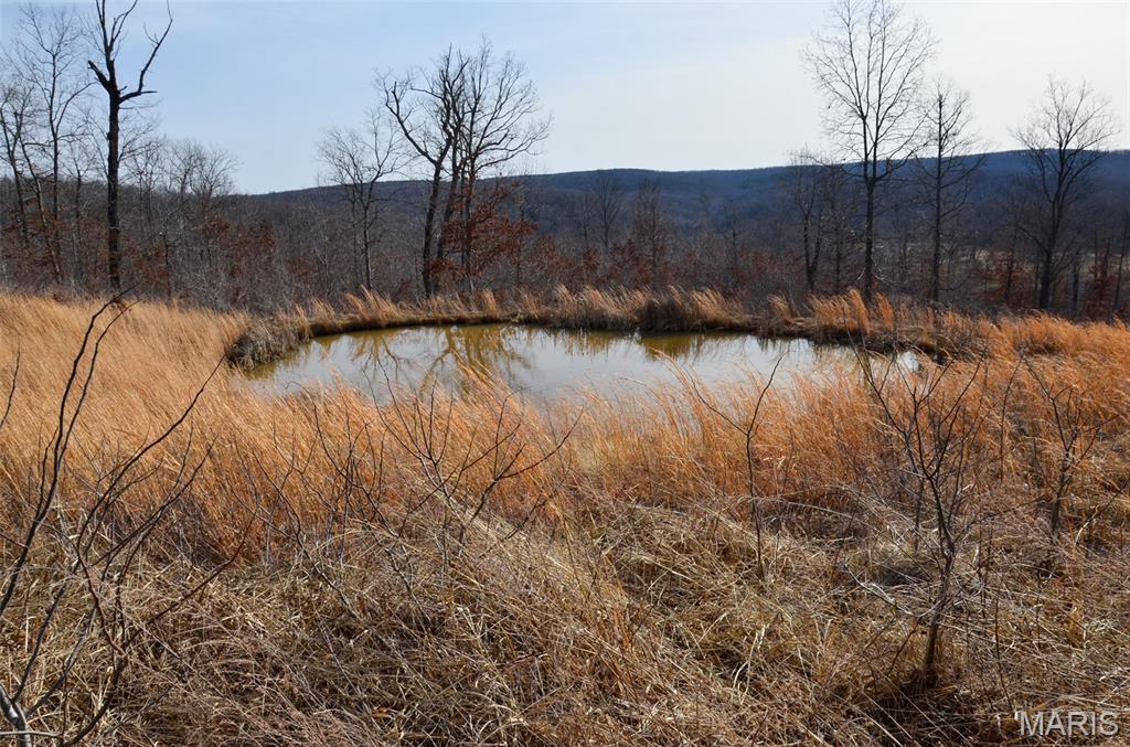 10331 Hopkins Road Potosi, MO 63664 - Photo 21 of 76