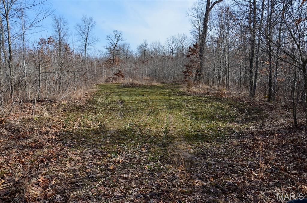 10331 Hopkins Road Potosi, MO 63664 - Photo 24 of 76