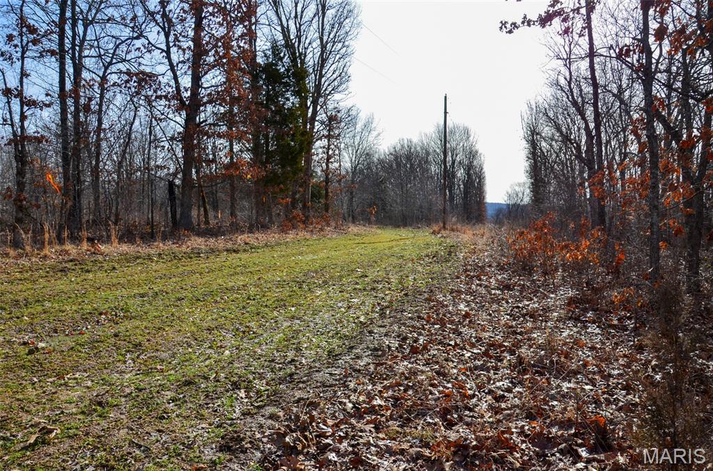 10331 Hopkins Road Potosi, MO 63664 - Photo 25 of 76