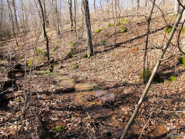 $288,000 | 10331 Hopkins Road, Potosi, MO 63664