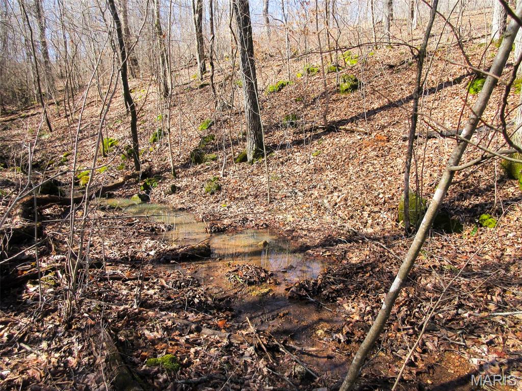 10331 Hopkins Road Potosi, MO 63664 - Photo 28 of 76