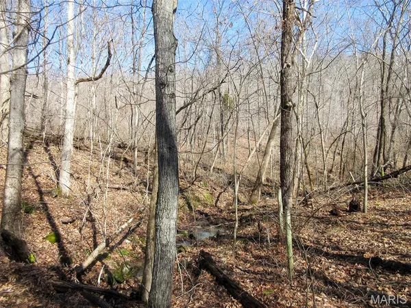 $288,000 | 10331 Hopkins Road, Potosi, MO 63664