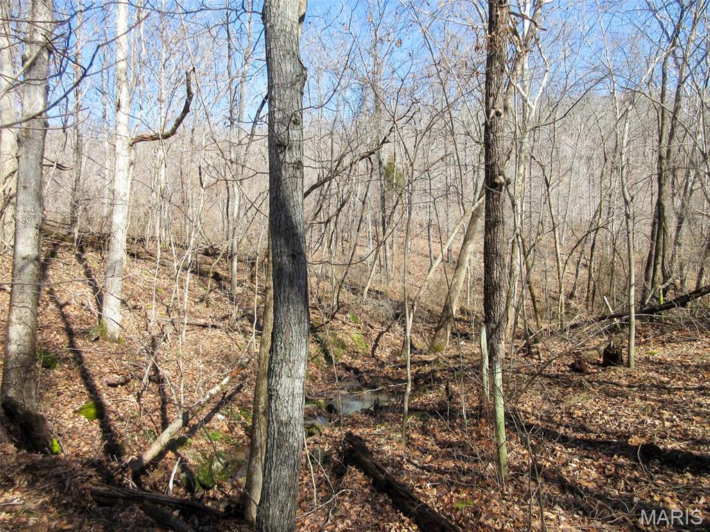 10331 Hopkins Road Potosi, MO 63664 - Photo 30 of 76