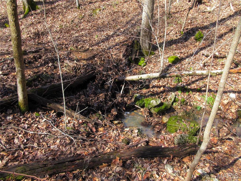 10331 Hopkins Road Potosi, MO 63664 - Photo 31 of 76