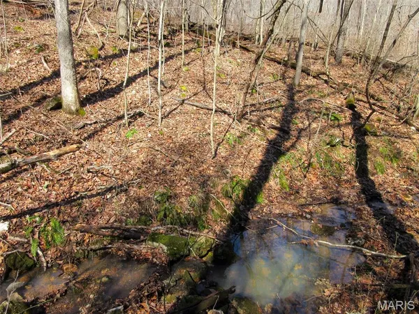 $288,000 | 10331 Hopkins Road, Potosi, MO 63664