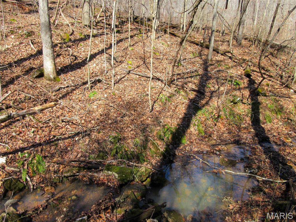 10331 Hopkins Road Potosi, MO 63664 - Photo 32 of 76