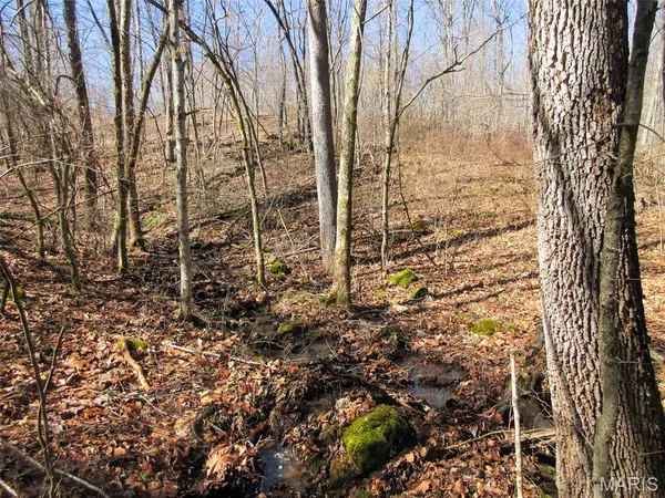 $288,000 | 10331 Hopkins Road, Potosi, MO 63664