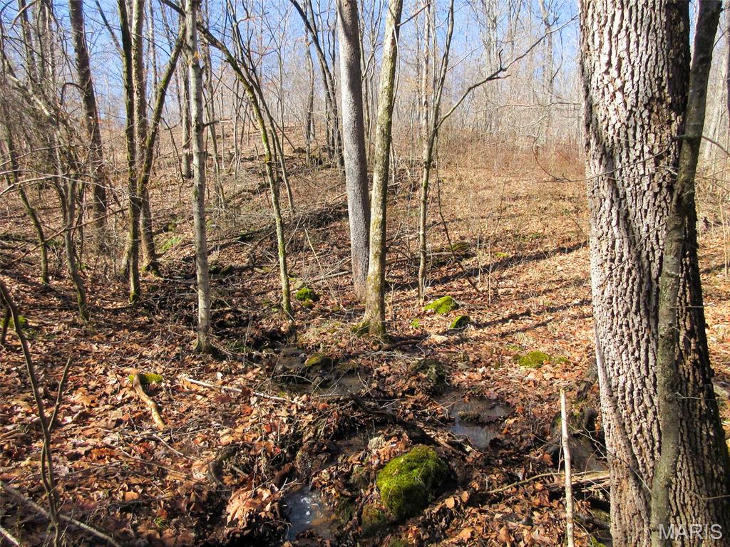 10331 Hopkins Road Potosi, MO 63664 - Photo 33 of 76