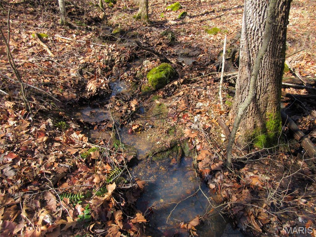 10331 Hopkins Road Potosi, MO 63664 - Photo 34 of 76