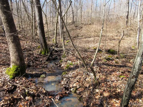 $288,000 | 10331 Hopkins Road, Potosi, MO 63664