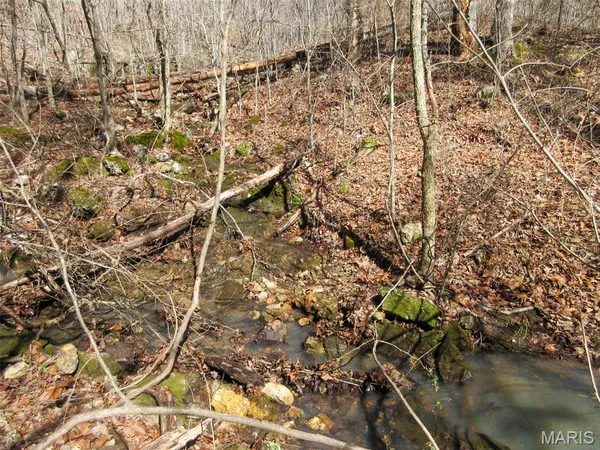 $288,000 | 10331 Hopkins Road, Potosi, MO 63664