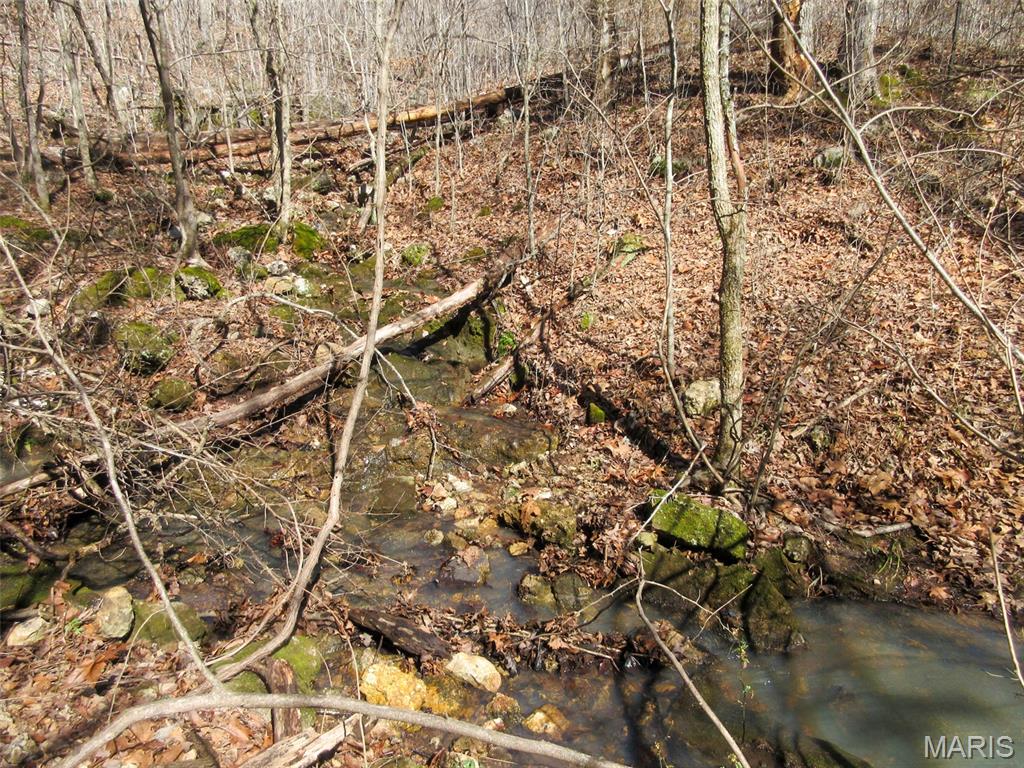 10331 Hopkins Road Potosi, MO 63664 - Photo 38 of 76