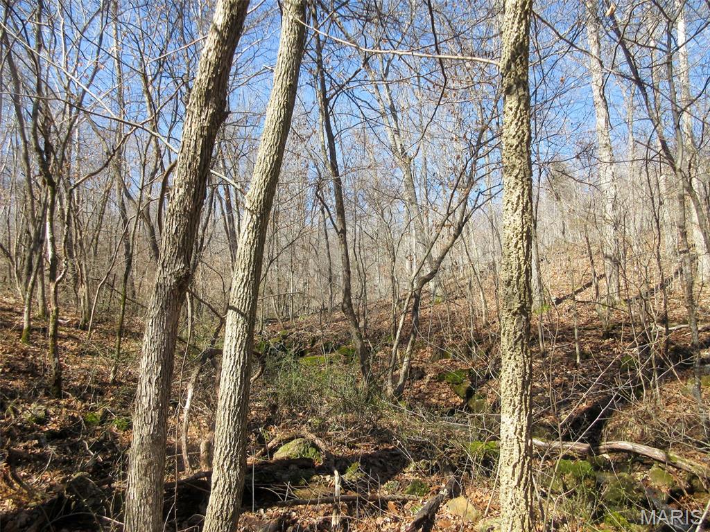 10331 Hopkins Road Potosi, MO 63664 - Photo 40 of 76